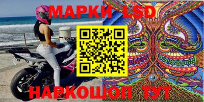 стаф Обнинск