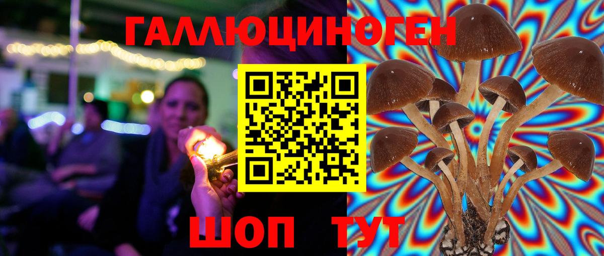 Галлюциногенные грибы MAGIC MUSHROOMS Елец