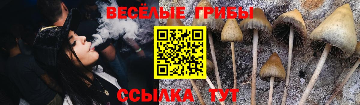 Псилоцибиновые грибы Magic Shrooms  Вход с VPN  Псилоцибиновые грибы мицелий  Елец 